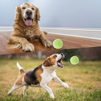 Exciting Interactive Automatic Rolling Cat Toy - Plush Squeaky Balls for Hours of Indoor Fun!