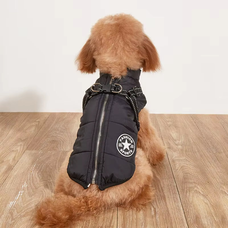 Stay Warm and Stylish: Large Waterproof Dog Jacket with Harness for Autumn/Winter Adventures