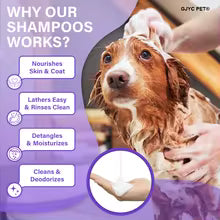 Promotional graphic for a pet shampoo product with a wet dog being brushed, a purple background, and text explaining benefits such as nourishing skin and coat, lather ease, rinsing cleanliness, and detangling.