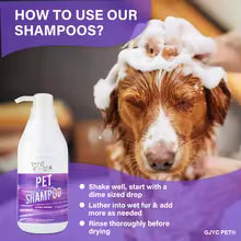 A promotional graphic for a pet shampoo bottle with a brown dog wearing soap bubbles on its head. The image includes text reading 'HOW TO USE OUR SHAMPOOS?' and product usage instructions, with the bottle shown on the left and purple graphic panels on the right.