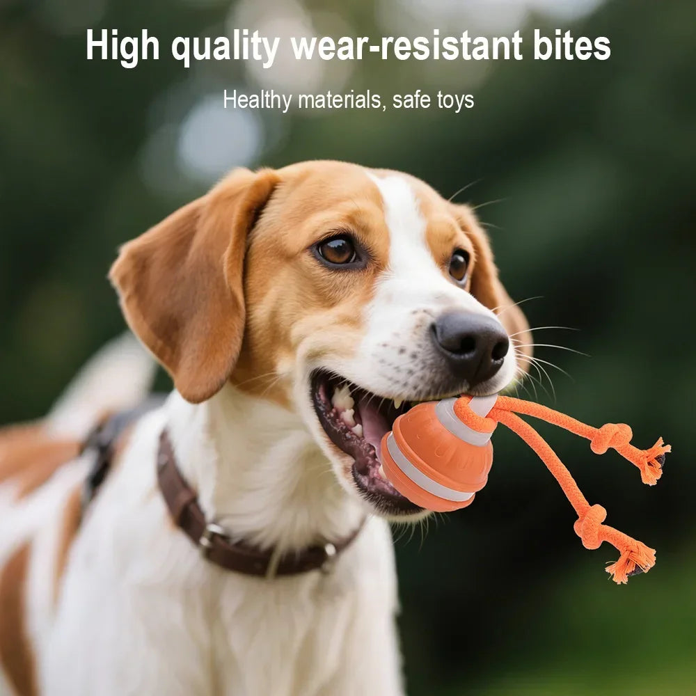Exciting Automatic Rolling Ball Toy for Cats and Dogs - Rechargeable Interactive Electric Toy with Faux Tail for Endless Fun!