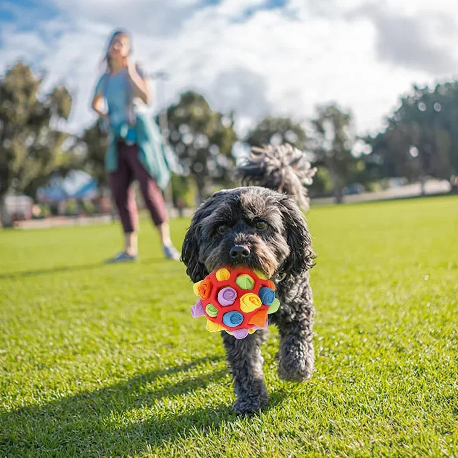 Engage Your Dog's Senses with Our Fun Interactive Snuffle Ball - Perfect for Smell Training and Foraging Adventures!