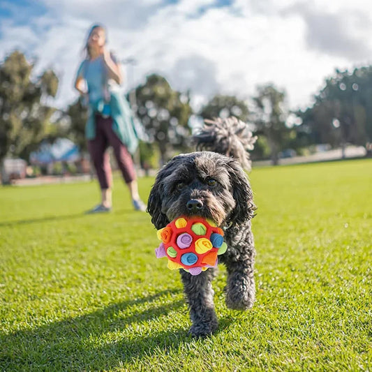 Engage Your Dog's Senses with Our Fun Interactive Snuffle Ball - Perfect for Smell Training and Foraging Adventures!