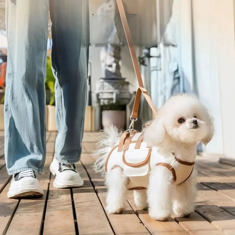Discover the Ultimate Hands-Free Small Dog Carrier Sling Backpack with Leash - Breathable Pet Lift Harness for Cats & Puppies!