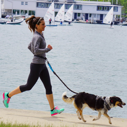 Revolutionary Hands-Free Dog Leash: Adjustable Waist Belt & Chest Strap for Effortless Walking, Running, and Jogging with Your Furry Friend