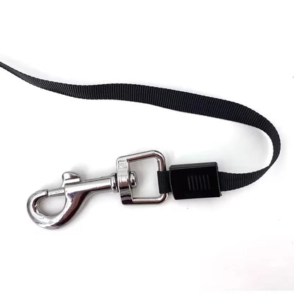 Experience Ultimate Freedom with Our Retractable Dog Leash - 3 & 5 Meters for All Dog Sizes