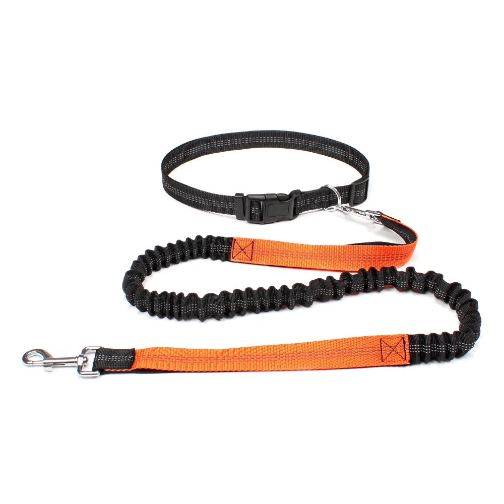 Revolutionary Hands-Free Dog Leash: Adjustable Waist Belt & Chest Strap for Effortless Walking, Running, and Jogging with Your Furry Friend